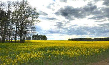 Landschaftsbild Lindenberg, Foto: Heinz Nagler