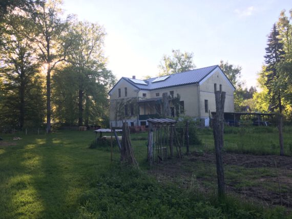 stechlin-institut