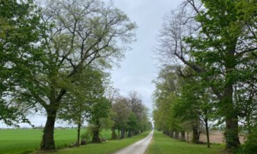 Allee-Hakenberg-Foto-R.Dellman
